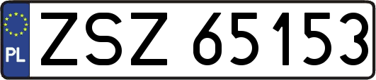 ZSZ65153