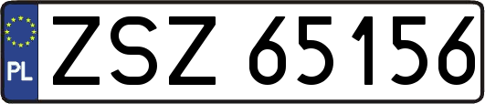 ZSZ65156