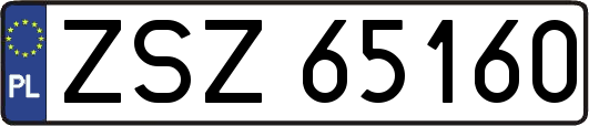 ZSZ65160