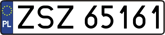 ZSZ65161