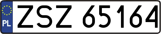 ZSZ65164
