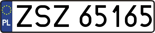 ZSZ65165