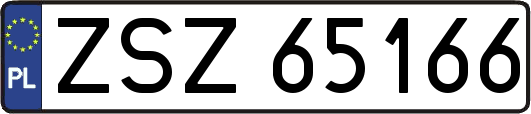 ZSZ65166