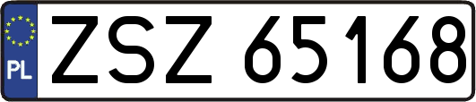 ZSZ65168