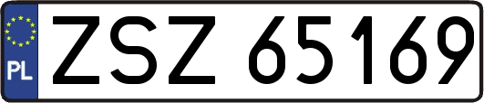 ZSZ65169