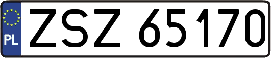 ZSZ65170