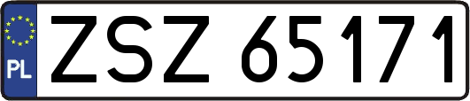 ZSZ65171