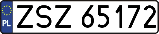 ZSZ65172