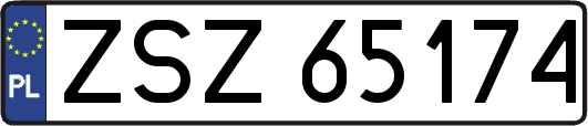 ZSZ65174