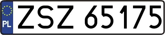 ZSZ65175