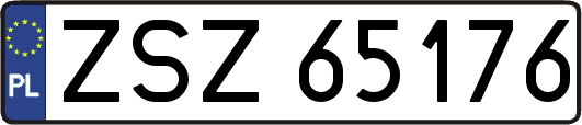 ZSZ65176