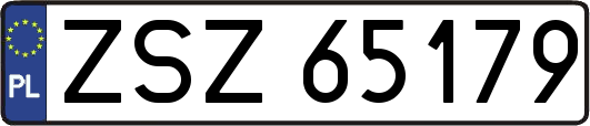 ZSZ65179