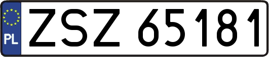 ZSZ65181