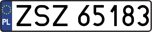 ZSZ65183