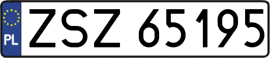 ZSZ65195