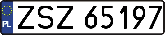 ZSZ65197