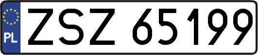 ZSZ65199