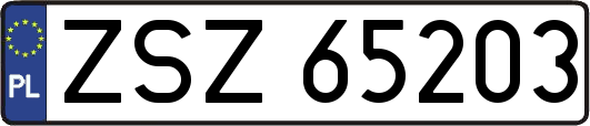 ZSZ65203