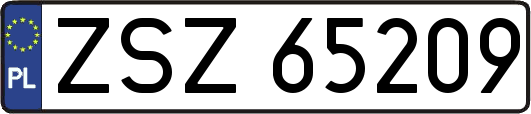 ZSZ65209