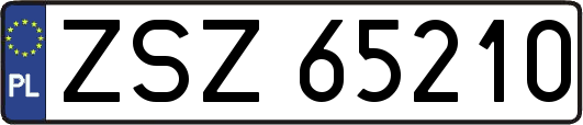 ZSZ65210