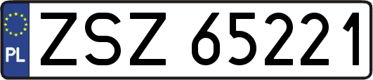 ZSZ65221