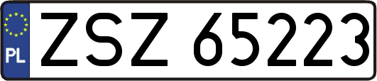 ZSZ65223