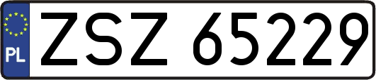 ZSZ65229