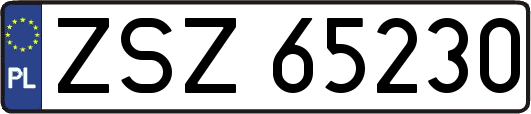 ZSZ65230