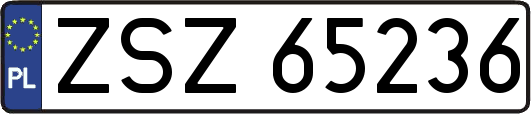 ZSZ65236