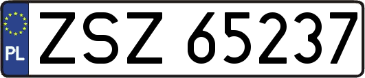 ZSZ65237