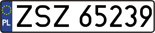 ZSZ65239