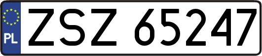 ZSZ65247