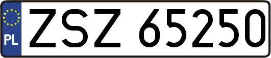 ZSZ65250