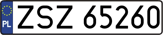 ZSZ65260