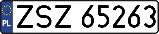 ZSZ65263