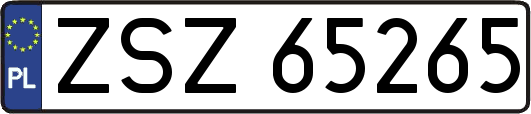 ZSZ65265