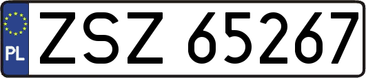 ZSZ65267