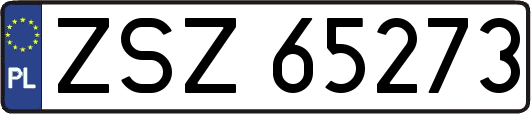 ZSZ65273