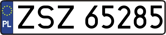 ZSZ65285