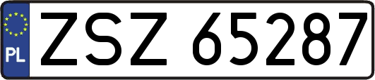 ZSZ65287