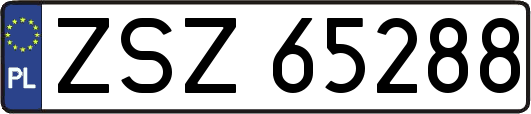 ZSZ65288