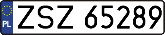 ZSZ65289