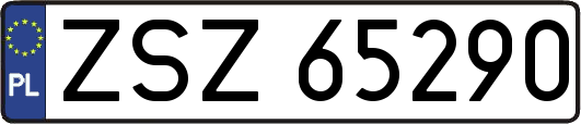 ZSZ65290
