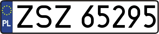 ZSZ65295