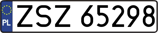 ZSZ65298