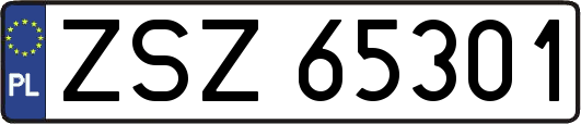 ZSZ65301