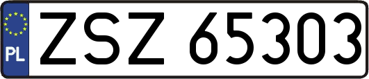 ZSZ65303