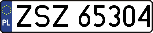 ZSZ65304