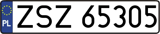 ZSZ65305