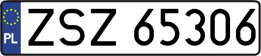 ZSZ65306